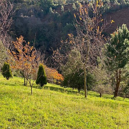 Finca Portizuelo Luarca Eksteriør bilde