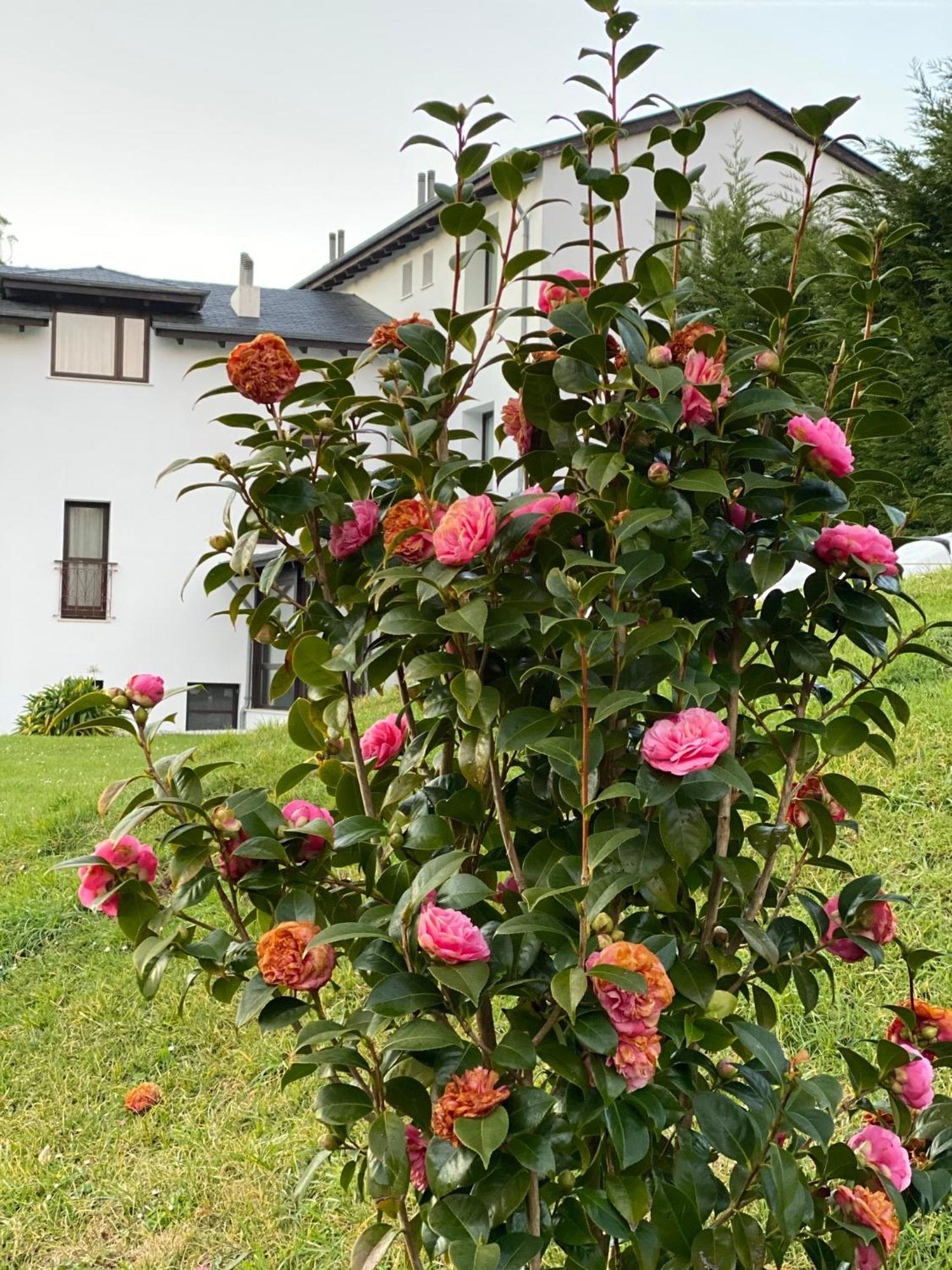 Finca Portizuelo Luarca Eksteriør bilde