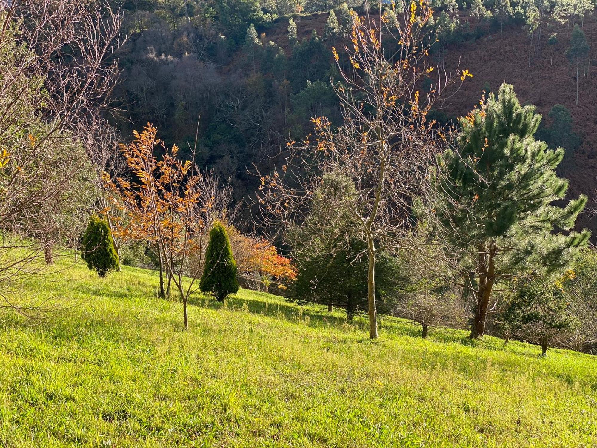 Finca Portizuelo Luarca Eksteriør bilde