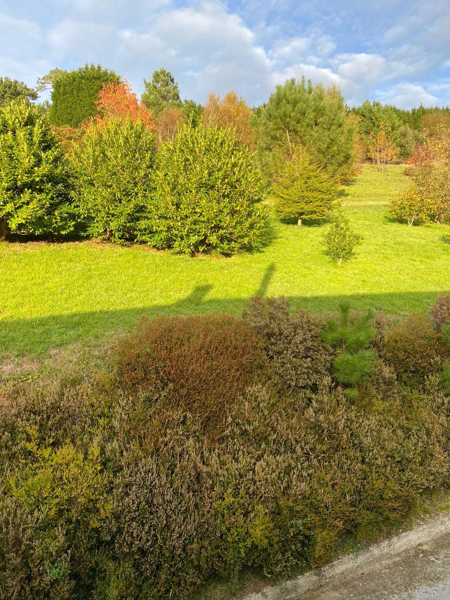 Finca Portizuelo Luarca Eksteriør bilde