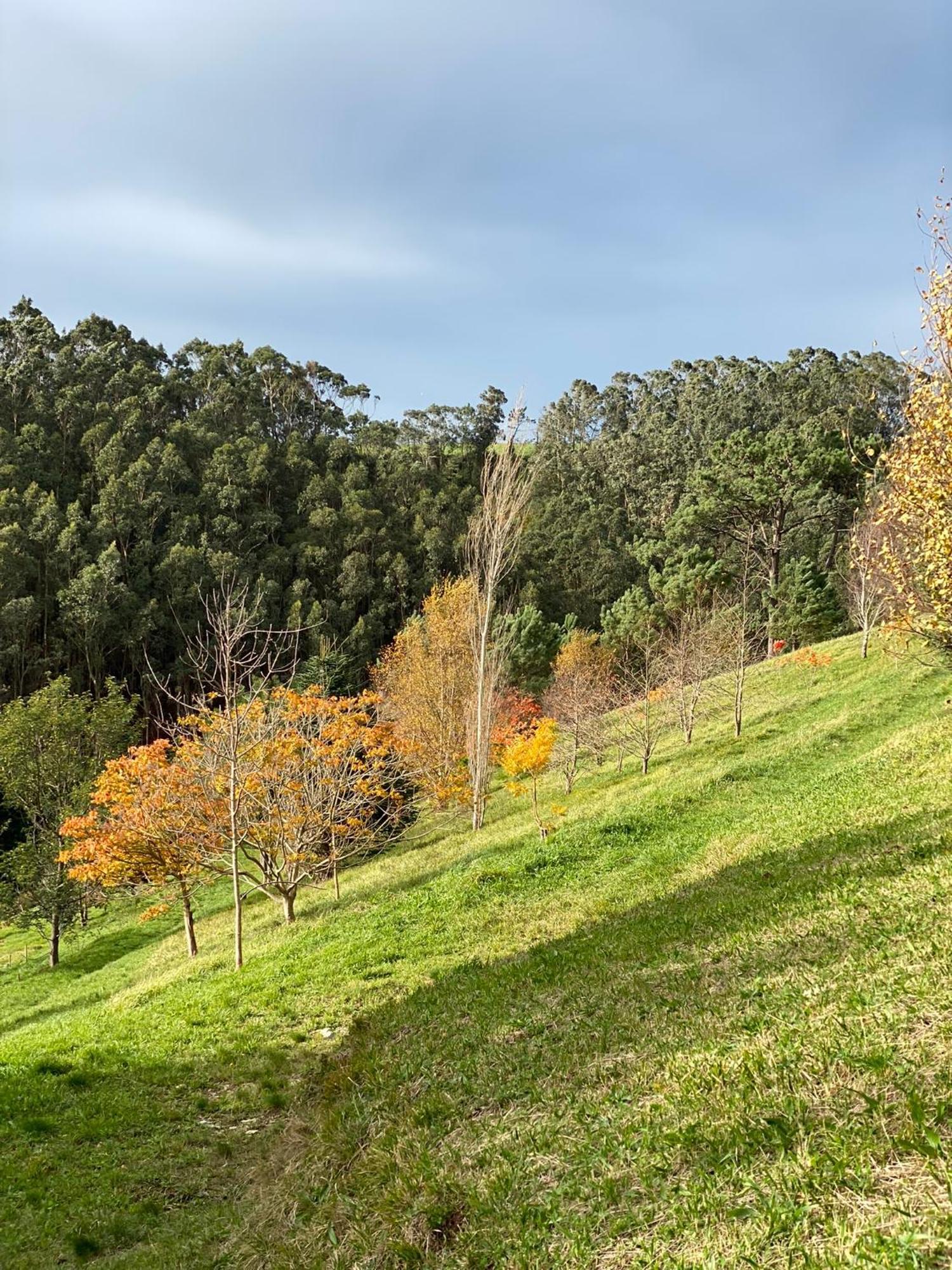 Finca Portizuelo Luarca Eksteriør bilde