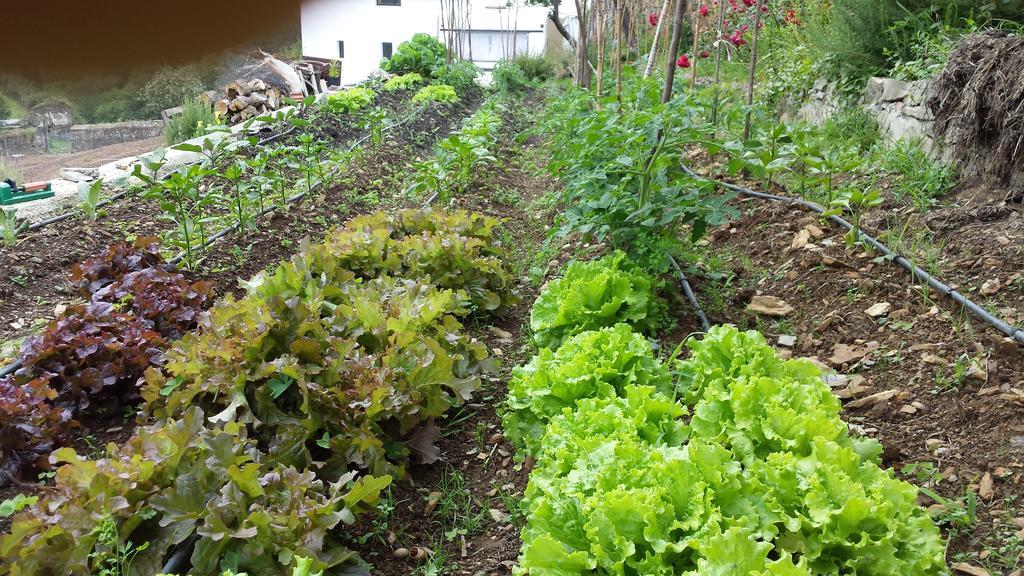 Finca Portizuelo Luarca Eksteriør bilde