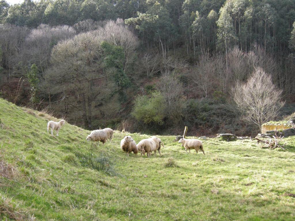 Finca Portizuelo Luarca Eksteriør bilde