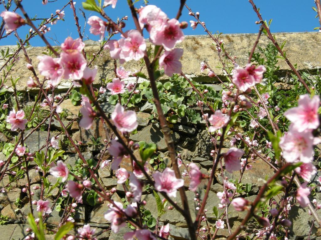 Finca Portizuelo Luarca Eksteriør bilde