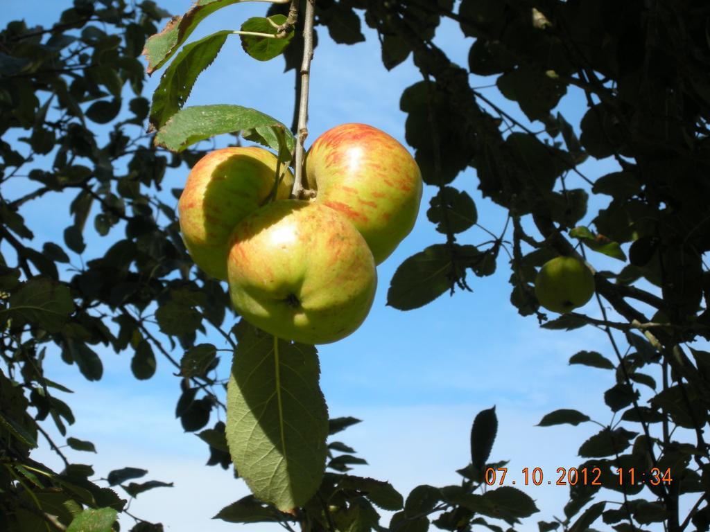 Finca Portizuelo Luarca Eksteriør bilde