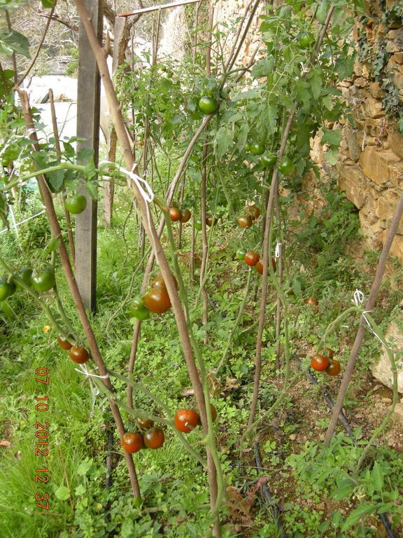 Finca Portizuelo Luarca Eksteriør bilde