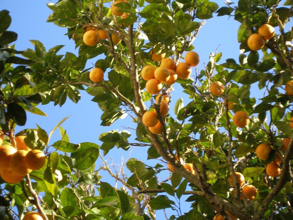 Finca Portizuelo Luarca Eksteriør bilde